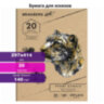 Папка для рисования и эскизов, крафт-бумага 140 г/м2, А3 (297x414 мм), 20 л., BRAUBERG ART CLASSIC, 112482, 112482