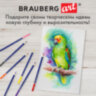 Карандаши художественные цветные акварельные BRAUBERG ART CLASSIC, 48 цветов, грифель 3,3 мм, 181532, 181532