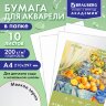 Папка для акварели А4, 10 л., 200 г/м2, 210х297 мм, BRAUBERG АКАДЕМИЯ, "Апельсины", 117743, 117743