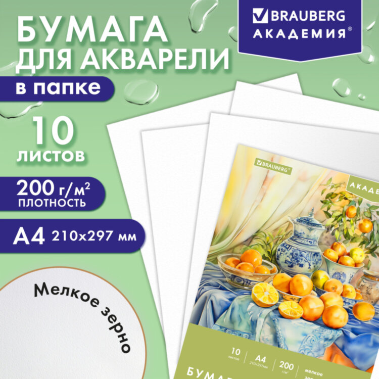 Папка для акварели А4, 10 л., 200 г/м2, 210х297 мм, BRAUBERG АКАДЕМИЯ, "Апельсины", 117743, 117743