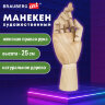 Манекен художественный BRAUBERG ART CLASSIC "РУКА", высота 25 см., женская правая, дерево, 191299, 191299