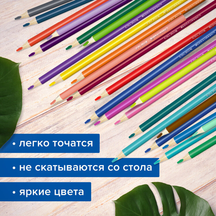 Карандаши цветные супермягкие яркие BRAUBERG MAX, 50 цветов, трехгранные, грифель 3,3 мм, натуральное дерево, 181860, 181860