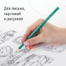 Карандаши чернографитные BRAUBERG НАБОР 12 шт., НВ, без резинки, пластиковый зеленый корпус, 180677, 180677