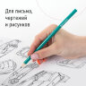 Карандаши чернографитные BRAUBERG НАБОР 12 шт., НВ, без резинки, пластиковый зеленый корпус, 180677, 180677