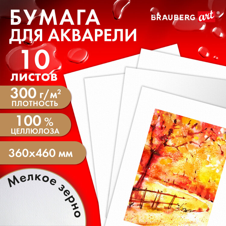 Бумага для акварели 300 г/м2 360x460 мм мелкое зерно, 10 листов, BRAUBERG ART PREMIERE, 113227, 113227