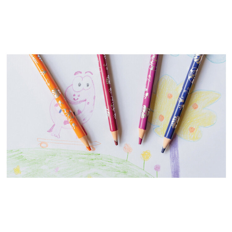 Карандаши цветные стираемые с ластиком BIC "Kids Evolution Illusion", 12 цветов, круглые, 987868 , 181846