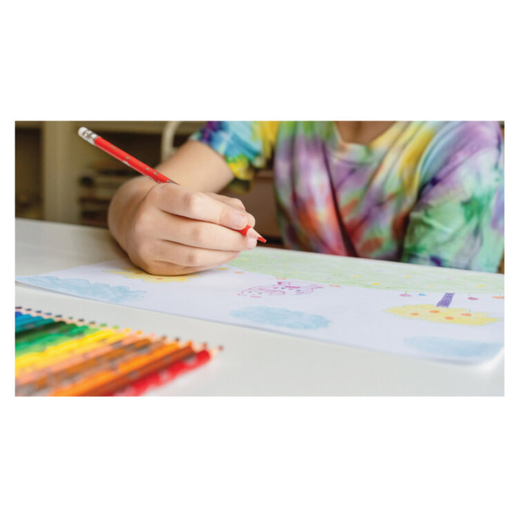 Карандаши цветные стираемые с ластиком BIC "Kids Evolution Illusion", 12 цветов, круглые, 987868 , 181846