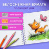 Альбом для рисования, пластиковая обложка, А4, 40 л., гребень, BRAUBERG, 210х297 мм, АССОРТИ-2 (8 видов), 107683, 107683