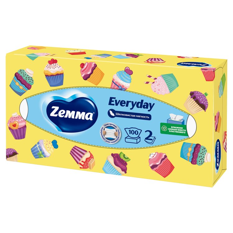 Салфетки косметические 100 штук в картонном боксе, 2-слойные, ZEMMA/ZEWA Everyday, 62861, 124758