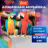 Картина стразами (алмазная мозаика) 40х50 см, ОСТРОВ СОКРОВИЩ "Попугаи", без подрамника, 662413, 662413