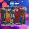 Картина стразами (алмазная мозаика) 40х50 см, ОСТРОВ СОКРОВИЩ "Попугаи", без подрамника, 662413, 662413